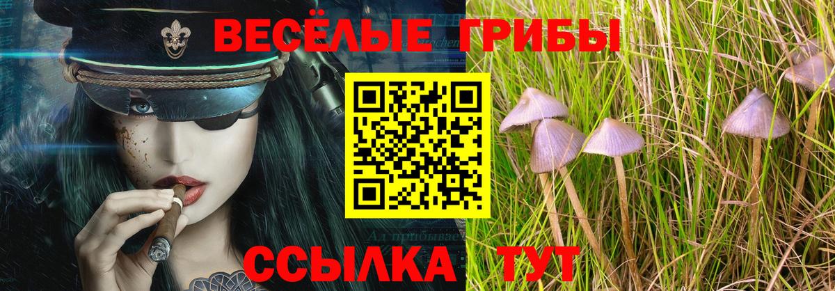Галлюциногенные грибы Cubensis Советская Гавань